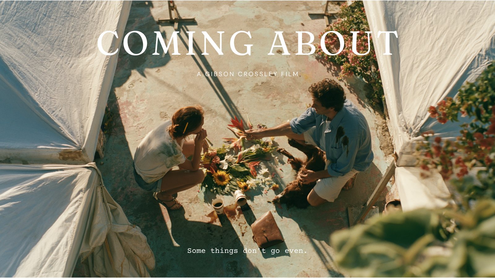 Coming About key art